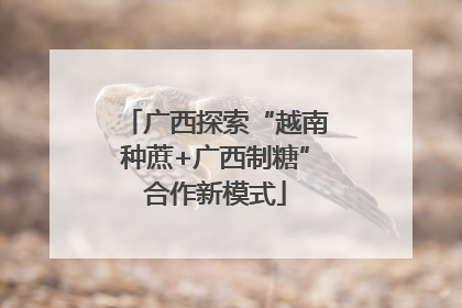 广西探索“越南种蔗+广西制糖”合作新模式